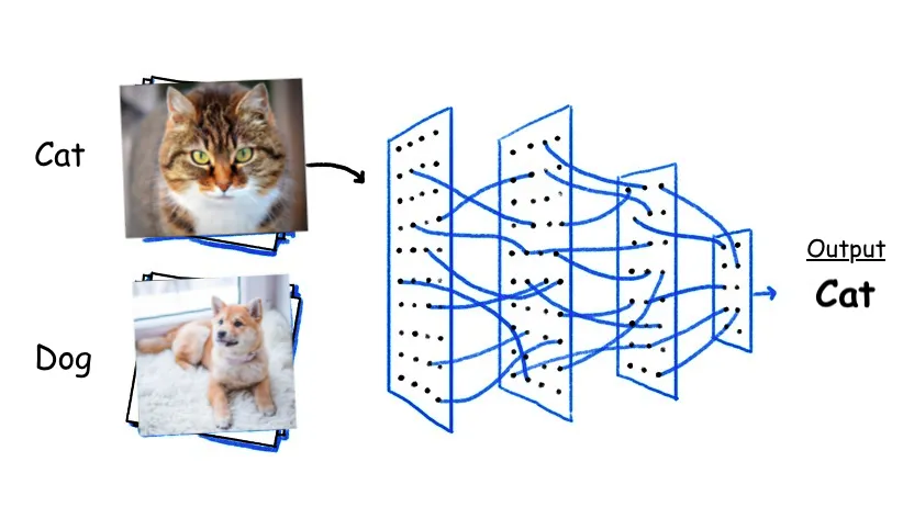 Image Classification with Neural Network